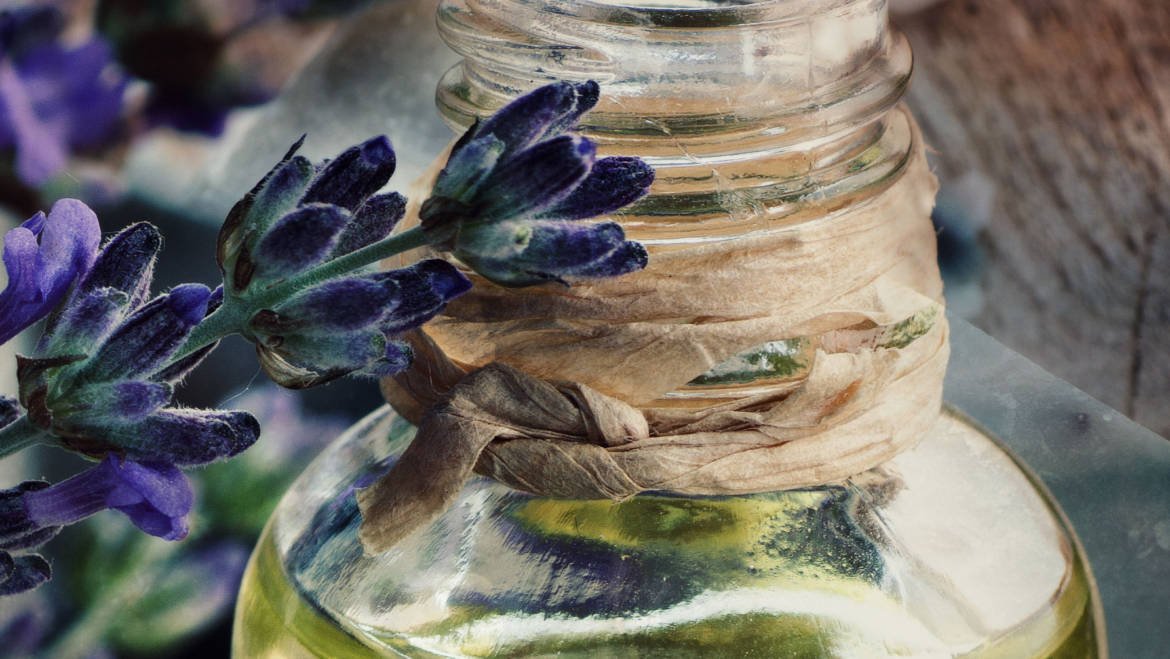 image_3-1170×659